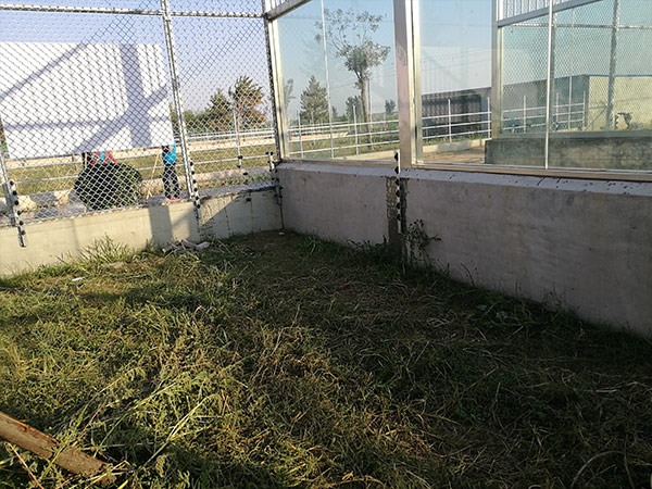 動物園工程案例